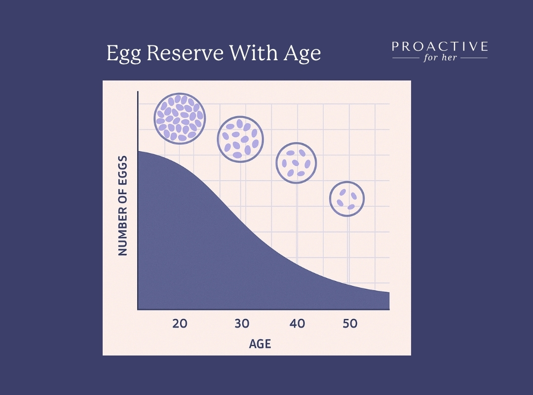 egg reserve timeline